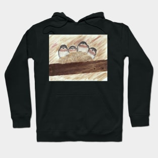 Barn Swallow Chicks Hoodie